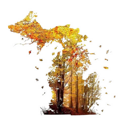 Michigan Fall